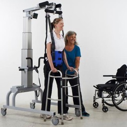 LiteGait Adult