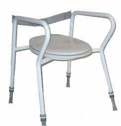 Freestanding toilet seat Freestanding toilet seat