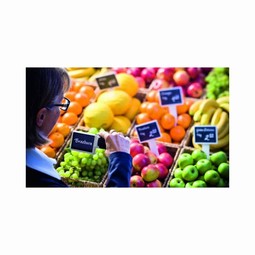 mobiluxDIGITAL