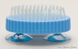 Blue Vegetable and nail brush with suction pads - example from the product group nail-brushes Blue Vegetable and nail brush with suction pads - example from the product group nail-brushes