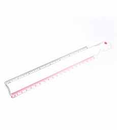 Ruler with magnifying glass