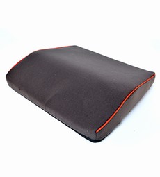 Back cushion