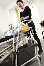 GH1 F lifting module - click to see picture in full size - opens new window GH1 F lifting module