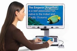 Merlin Elite Merlin Elite