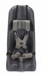 Sitter Seat with 5-point harness, Special Tomato Sitter Seat with 5-point harness, Special Tomato