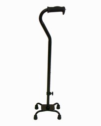 Walking stick with four legs Walking stick with four legs