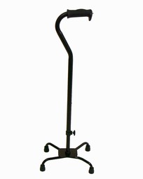 Walking stick with four legs Walking stick with four legs