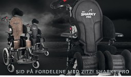 Back for Zitzi Sharky Pro  - example from the product group complete back supports for wheelchairs