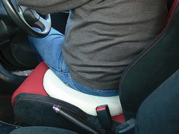 Revolving Swivel Seat