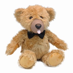 Teddy Love Teddy Love