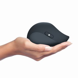 Pulse II Vibrator - click to see picture in full size - opens new window Pulse II Vibrator