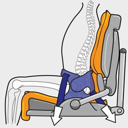 Pelvic Cradle
