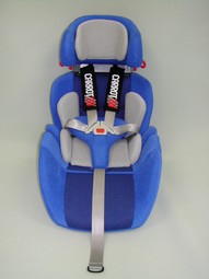 Carrot car seat