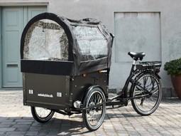 Electric cargo bike for kids, 3-wheel