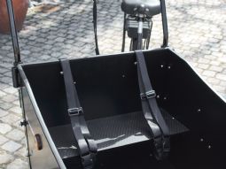 Electric cargo bike for kids, 3-wheel