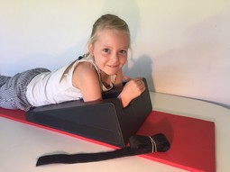 SP3  - example from the product group other positioning cushions for general purposes