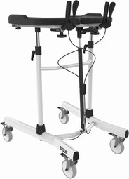 Bison walking trainer Bison walking trainer
