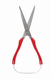 Scissors Scissors