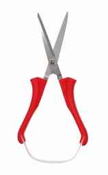 Scissors Scissors