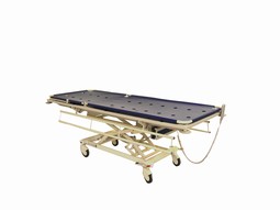 Shower couch with raised bed part