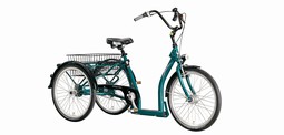 Ally Tricycle
