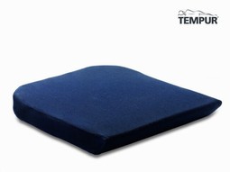 TEMPUR cushion TEMPUR cushion