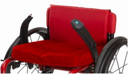 Bodypoint Evoflex Pelvic Stabilizer