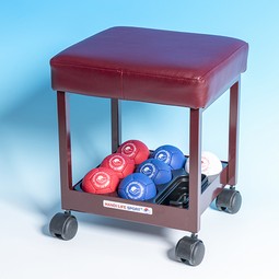 Boccia seat for assistant - click to see picture in full size - opens new window Boccia seat for assistant