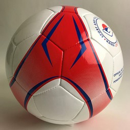 Wheelchair soccer ball