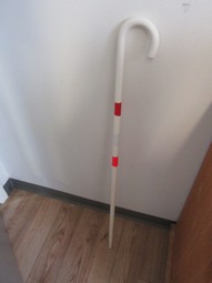 White cane, women White cane, women