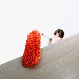 Good Grips dust remover with telescopic pole Good Grips dust remover with telescopic pole