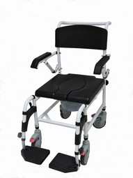 Toilet and bath chair