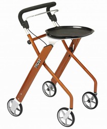 Lets Dream walker indoors