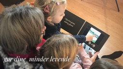 Videobog