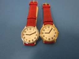 Montiel ladys low vision watch