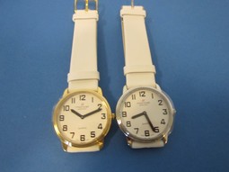 Montiel ladys low vision watch