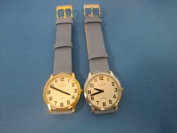Montiel ladys low vision watch