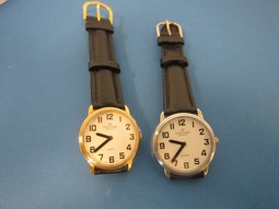Montiel ladys low vision watch