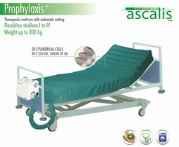 Prophylaxis Plus Prophylaxis Plus