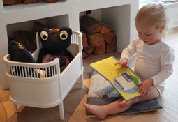 Zille weight product