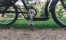 3 wheel adult tricycle - Amladcykler