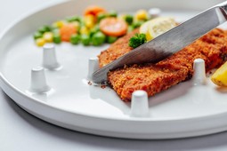 Onehandplate - example from the product group plates Onehandplate - example from the product group plates