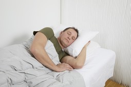 Protac Ball Blanket Granulate - click to see picture in full size - opens new window Protac Ball Blanket Granulate