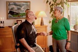Raizer M - lifting chair for domestic use