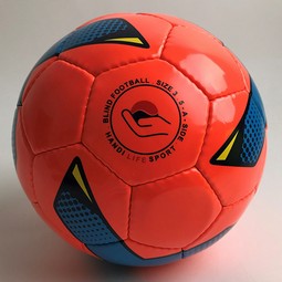 Apricot Blind Football
