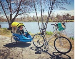 Wike Bike Trailer for Special Needs XL - click to see picture in full size - opens new window Wike Bike Trailer for Special Needs XL