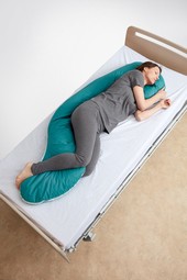 Seahorse cushion