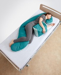 Seahorse cushion