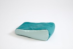 Heel/arm wedge cushion