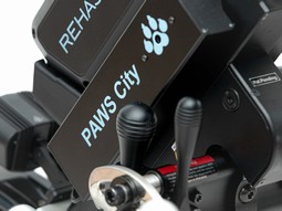 PAWS City 12
